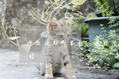 借款逾期哪里起訴流程(借款逾期哪里起訴流程)