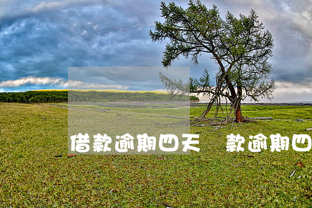 借款逾期四天(貸款逾期四個月)