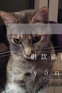 借款逾期多久可以協(xié)商還款(嚴(yán)重逾期了可以協(xié)商還款嗎)