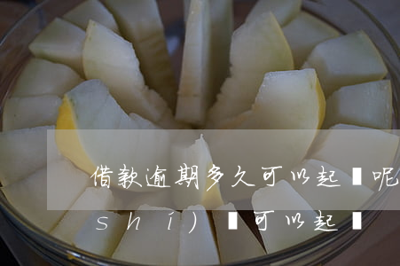 借款逾期多久可以起訴呢(借款逾期多少時(shí)間可以起訴)