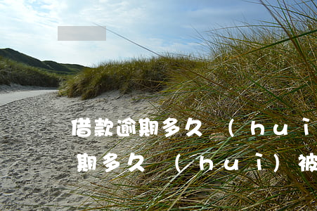 借款逾期多久會(huì)被起訴呢 借款逾期多久會(huì)被起訴呢