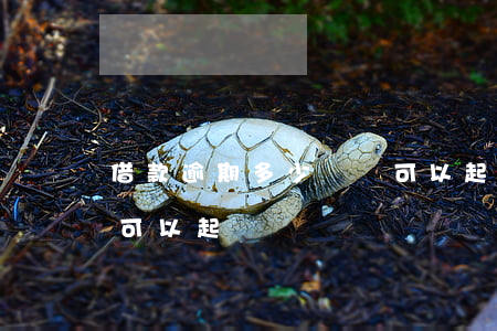 借款逾期多少時間可以起訴(借款人逾期多久可以起訴)