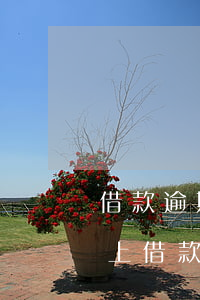 借款逾期幾天可以訴訟立案(網(wǎng)上借款逾期多久可以立案了?)