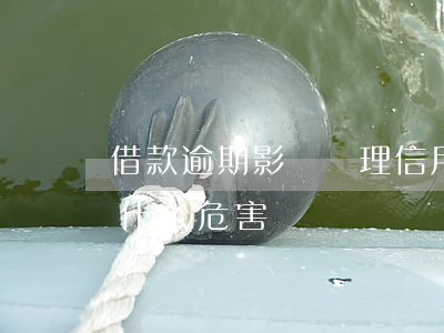 借款逾期影響辦理信用卡嗎(辦信用卡逾期有什么危害)