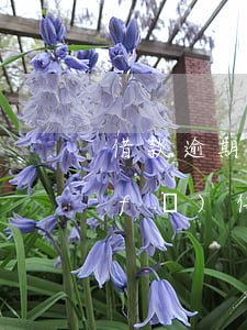借款逾期收到律師事務所信息（貸款逾期發(fā)信息律師上門調(diào)查）
