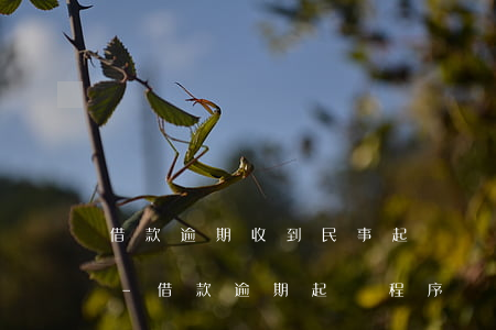 借款逾期收到民事起訴狀嚴(yán)重嗎-借款逾期起訴程序