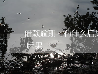 借款逾期會有什么后果(貸款逾期會造成什么后果)
