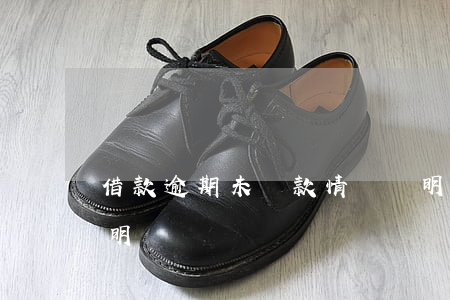 借款逾期未還款情況說明(借款人逾期情況說明)
