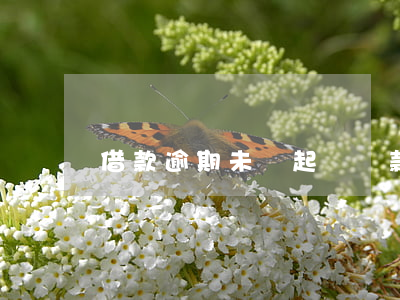 借款逾期未還起訴(貸款逾期未還被起訴怎么辦)