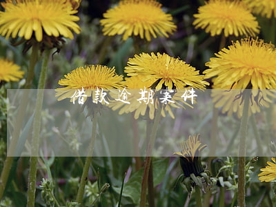 借款逾期案件訴訟