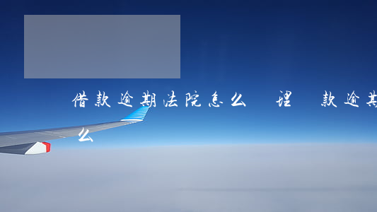 借款逾期法院怎么處理(貸款逾期法院起訴怎么辦)