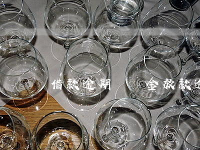借款逾期滯納金（放款逾期多久有滯納金）