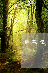 借款逾期短信（借貸逾期的短信）