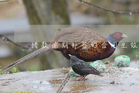 借款逾期补签的合同生效吗