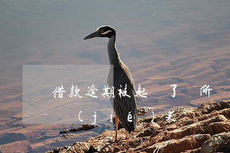 借款逾期被起訴了無所謂(借錢逾期被起訴的結(jié)果)