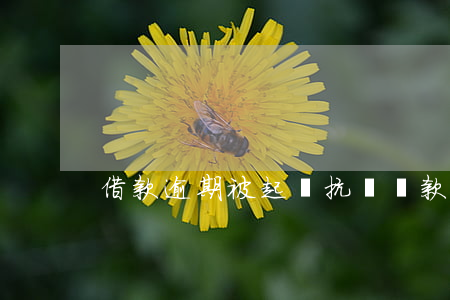 借款逾期被起訴抗辯 貸款逾期 起訴