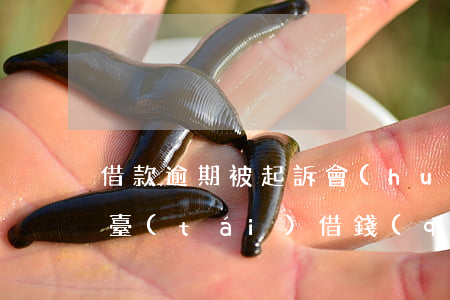 借款逾期被起訴會(huì)有什么后果(平臺(tái)借錢(qián)逾期被起訴會(huì)什么影響)