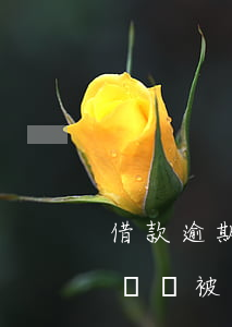 借款逾期被起訴會坐幾年牢(欠款逾期多長時間會被起訴)