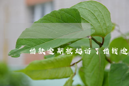 借款逾期被起诉了(借钱逾期被起诉的结果)