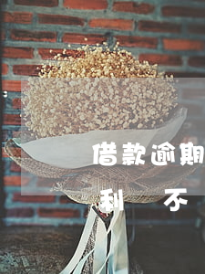 借款逾期計(jì)高利法院判決不支持(高利貸不還法院怎么判)
