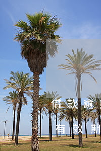 借款逾期訴訟有效期的確定-借款逾期訴訟有效期的確定