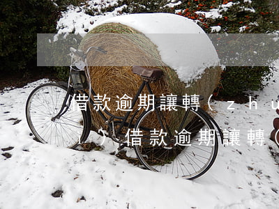 借款逾期讓轉(zhuǎn)公戶會(huì)(借款逾期讓轉(zhuǎn)公戶會(huì)上征信嗎)