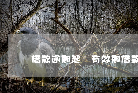 借款逾期起訴有效期(借款逾期起訴程序)