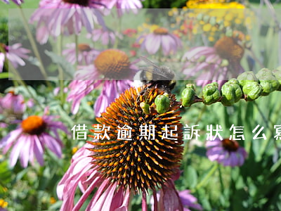 借款逾期起訴狀怎么寫(貸款逾期起訴狀)