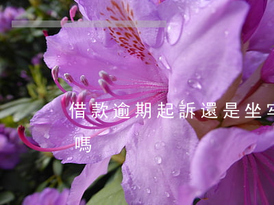 借款逾期起訴還是坐牢 貸款逾期起訴會坐牢嗎