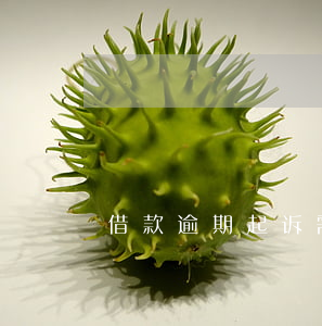 借款逾期起诉需要承担什么费用