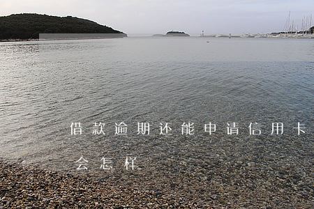 借款逾期还能申请信用卡吗(借信用卡逾期了会怎样)