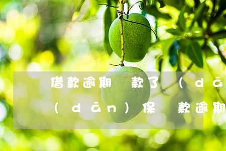 借款逾期還款了擔(dān)保人征信-擔(dān)保貸款逾期還款,擔(dān)保人征信恢復(fù)嗎