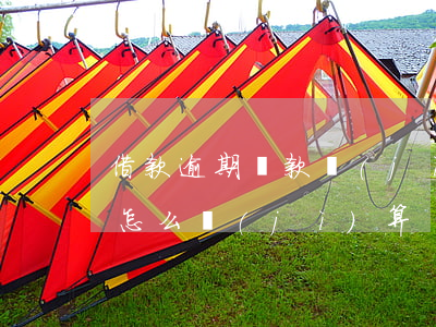 借款逾期還款計(jì)算器(逾期借款利息怎么計(jì)算)