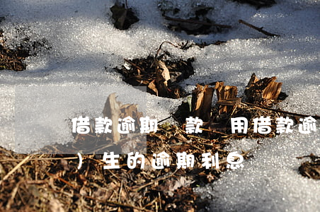 借款逾期還款費用(借款逾期后產(chǎn)生的逾期利息)