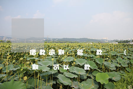 借款逾期還能還款嗎(當(dāng)前有逾期還可以貸款嗎)