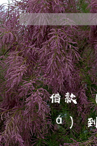 借款達(dá)到多少可以起訴(貸款達(dá)到多少錢才會(huì)被起訴)