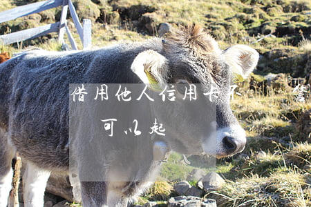 借用他人信用卡不還報警(信用卡借用他人不還可以起訴嗎)