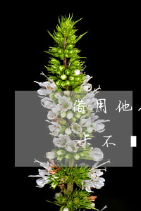 借用他人信用卡不還怎么辦(別人借用了信用卡不還怎么辦)