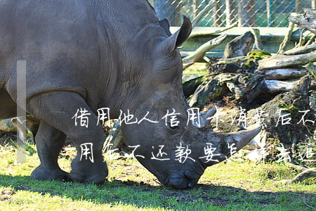 借用他人信用卡消费后不还(借信用卡给别人用后不还款,要怎样去追究)