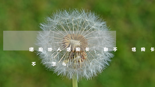 借用他人信用卡長期不還(信用卡被別人借用不還怎么辦)