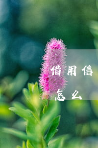 借用信用卡后不還怎么辦(朋友借信用卡不還怎么辦 如何處理)
