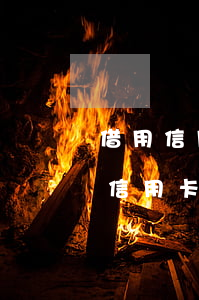 借用信用卡透支刑事判決書(被起訴惡意透支信用卡)