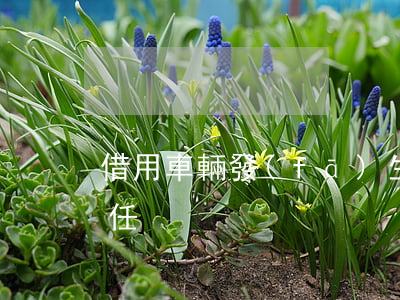 借用車輛發(fā)生交通事故，由誰承擔責任