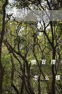 借百度有錢花逾期了(借百度有錢花逾期了會怎么樣)