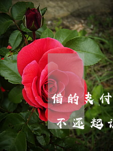 借的支付宝的钱被起诉-支付宝借给他人钱,不还,起诉后怎么办?