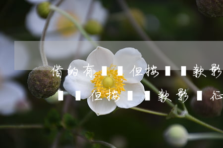 借的有網貸但按時還款影響征信嘛-借的有網貸但按時還款影響征信嘛怎么辦