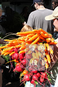借的網(wǎng)貸不可以提前還款怎么投訴-網(wǎng)貸不能提前還款怎么投訴