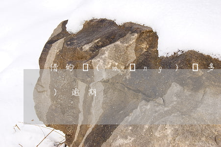 借的網(wǎng)貸多但是都沒(méi)逾期