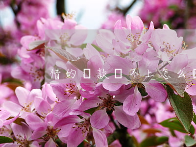 借的貸款還不上怎么辦 借貸還不了