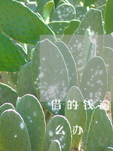 借的钱逾期不还怎么办(逾期了借不到钱了怎么办)
